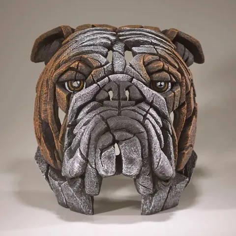 Bulldog Bust - Fawn