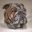 Bulldog Bust - Fawn