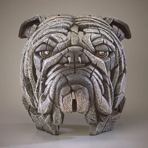 Bulldog Bust - White