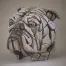 Bulldog Bust - White
