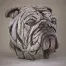Bulldog Bust - White