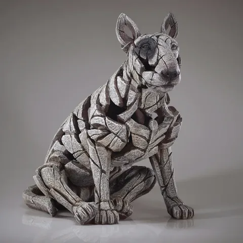 Bull Terrier - Bullseye