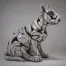 Bull Terrier - Bullseye