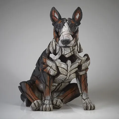 Bull Terrier - Tri-Colour