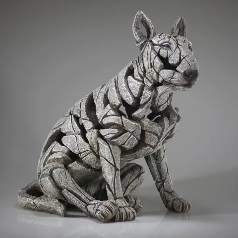 Bull Terrier - White