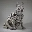 Bull Terrier - White