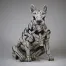 Bull Terrier - White