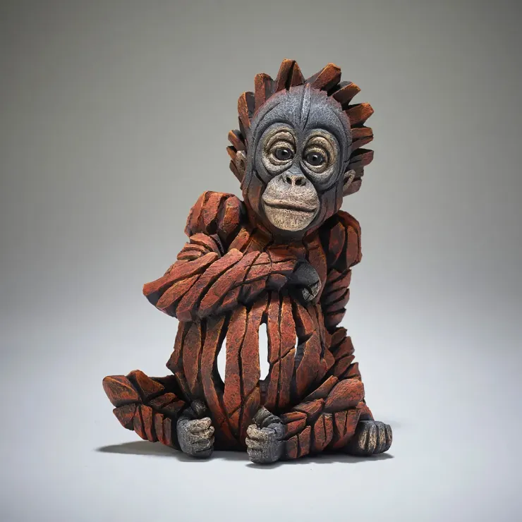Baby Orangutan