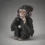 Edge Sculpture Baby Chimpanzee "Hear no Evil"