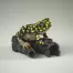 Edge Sculpture African Frog (Yellow Spot) Figure