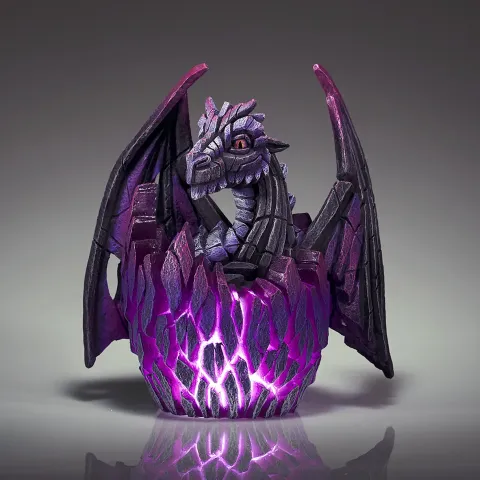 Dragon Egg Illumination (Black)
