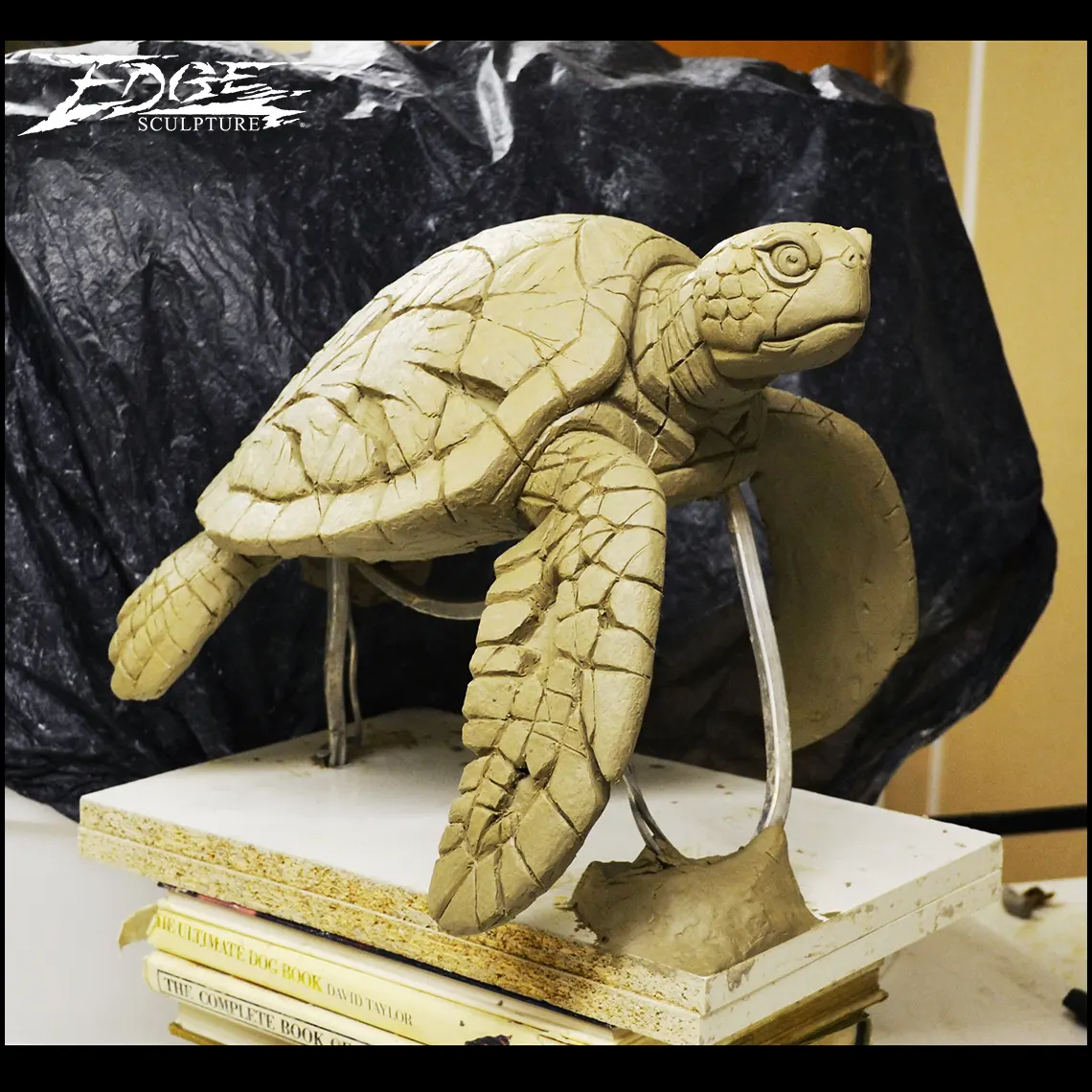Picture of the clay sculpt of the sea turtle